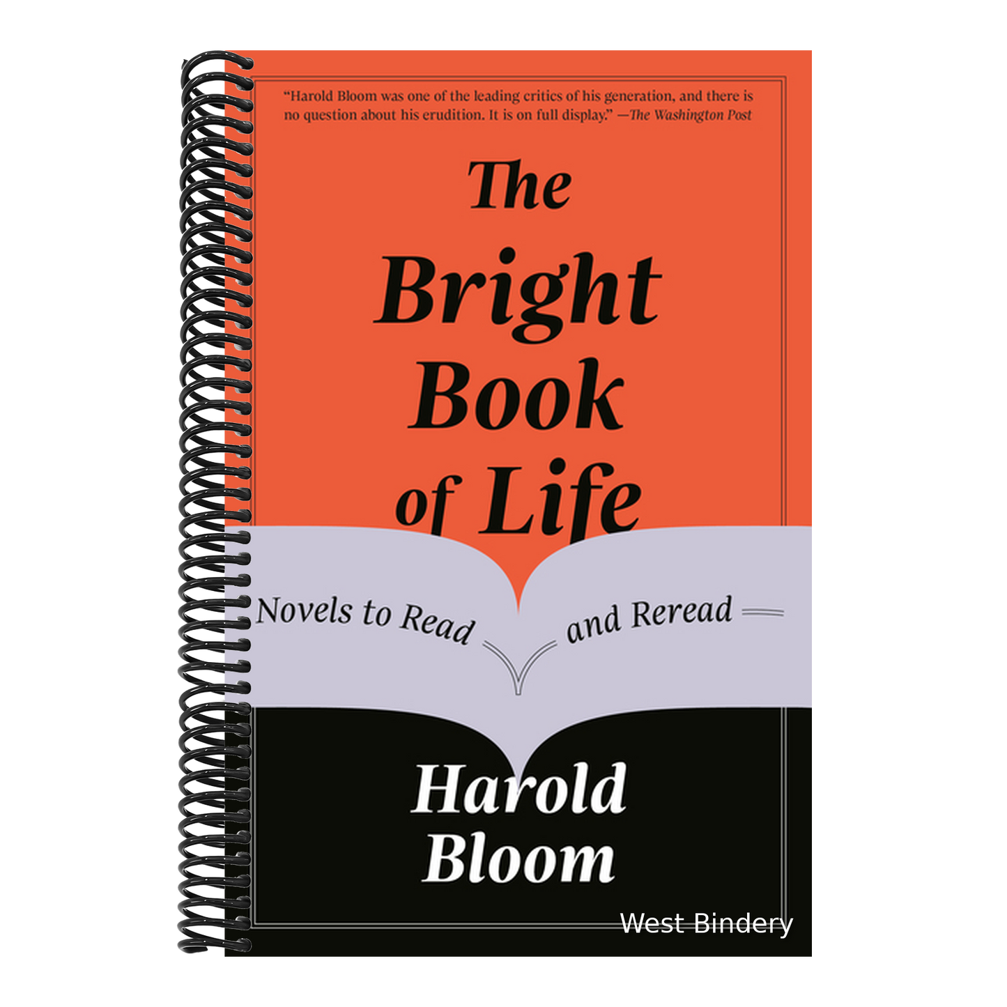 The Bright Book of Life: Novels to Read and Reread