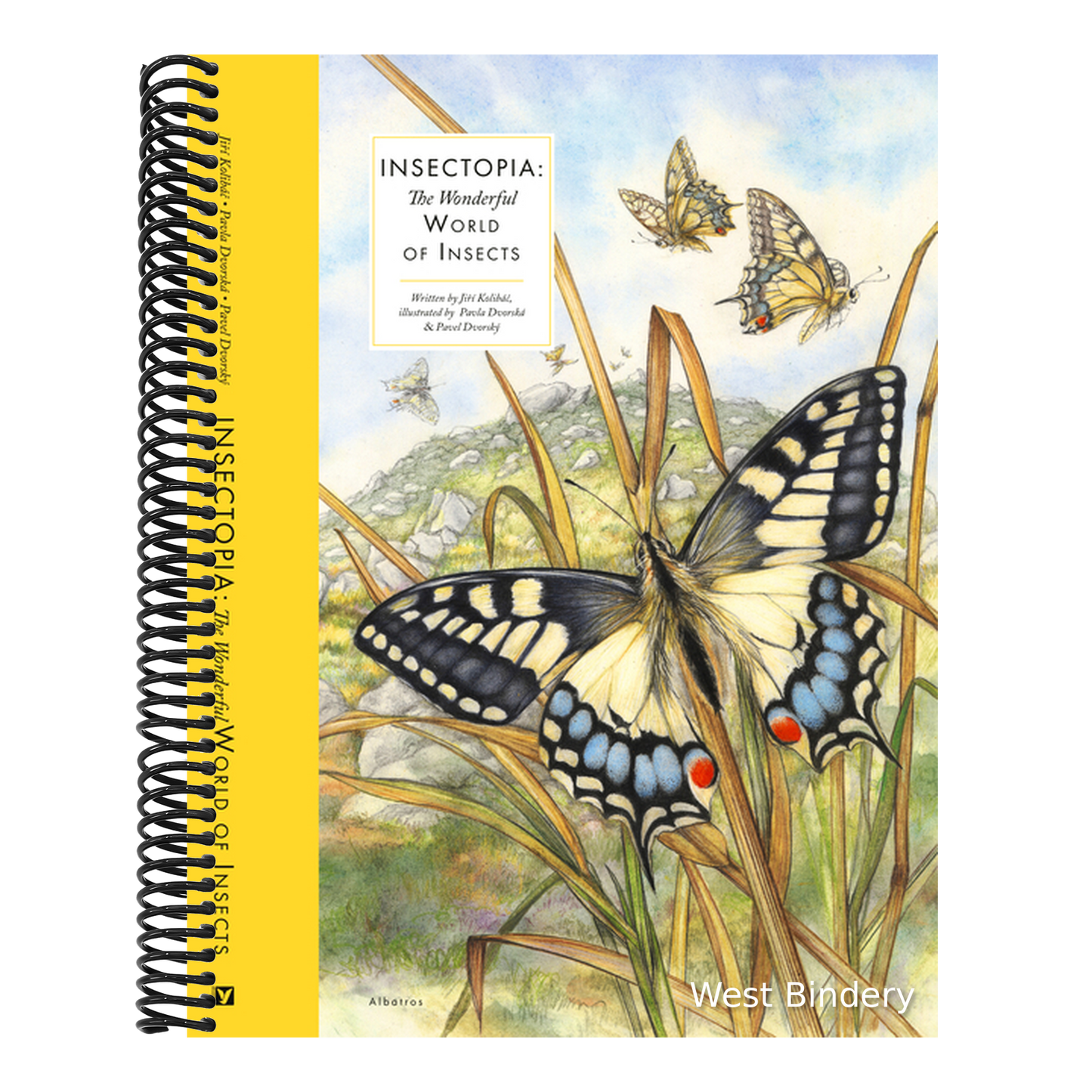 Insectopia: The Wonderful World of Insects