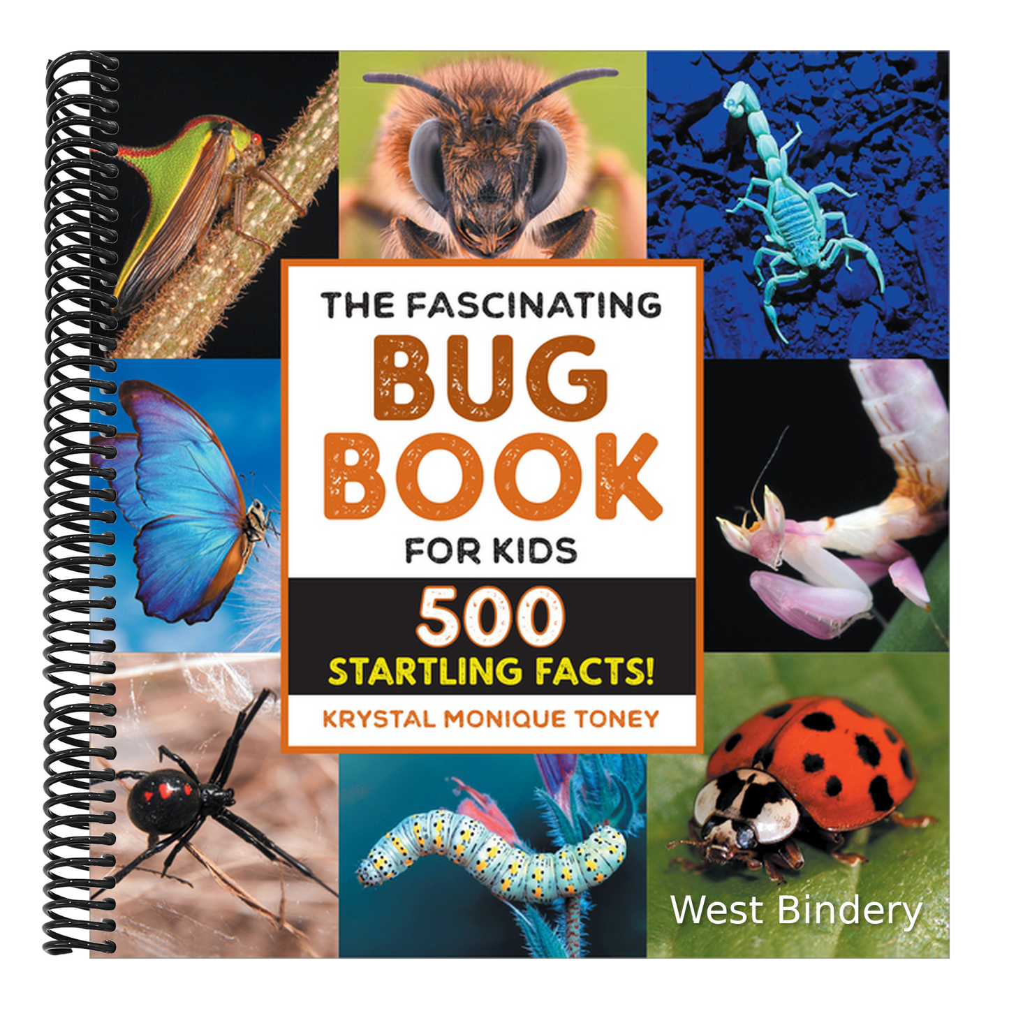The Fascinating Bug Book for Kids: 500 Startling Facts!