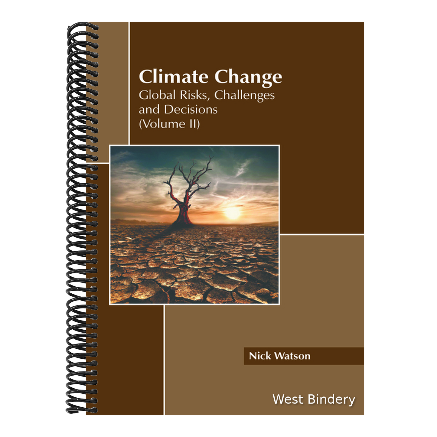 Climate Change: Global Risks, Challenges and Decisions (Volume II)