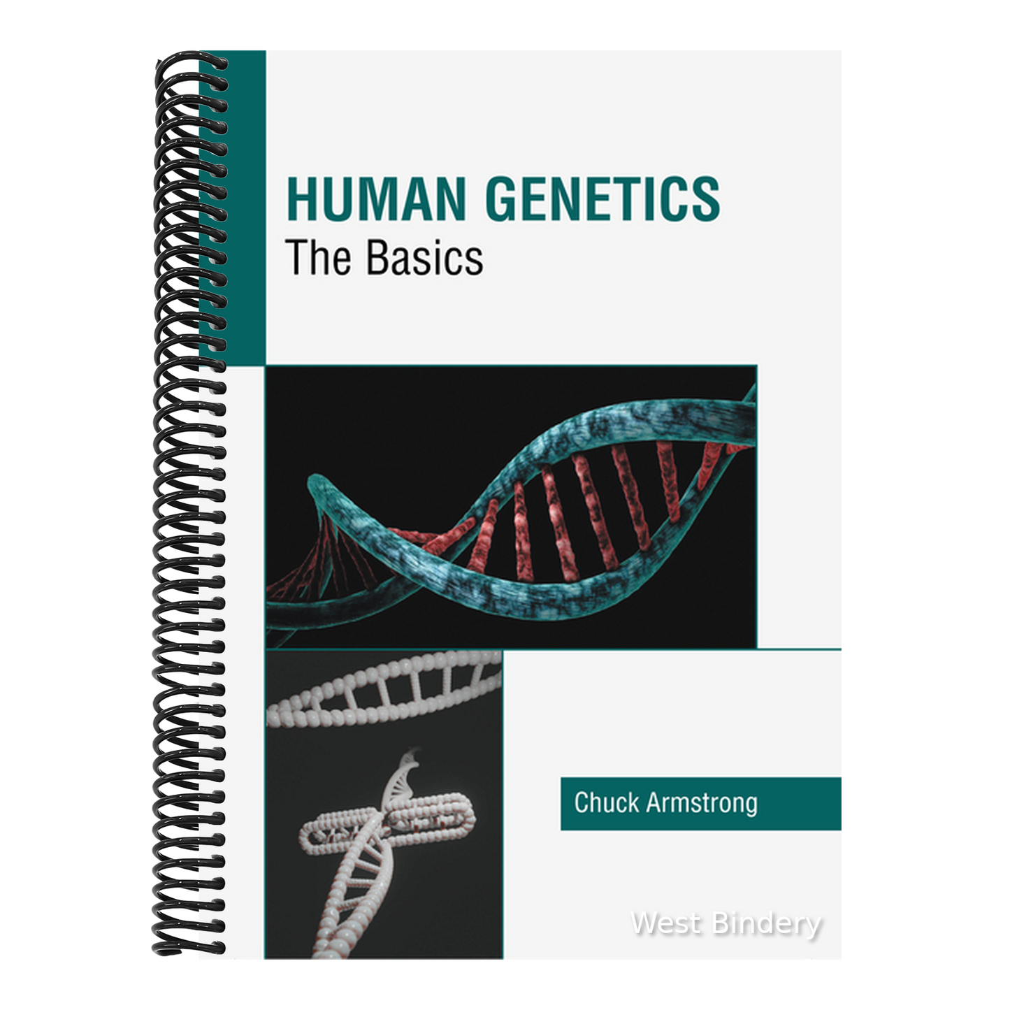 Human Genetics: The Basics