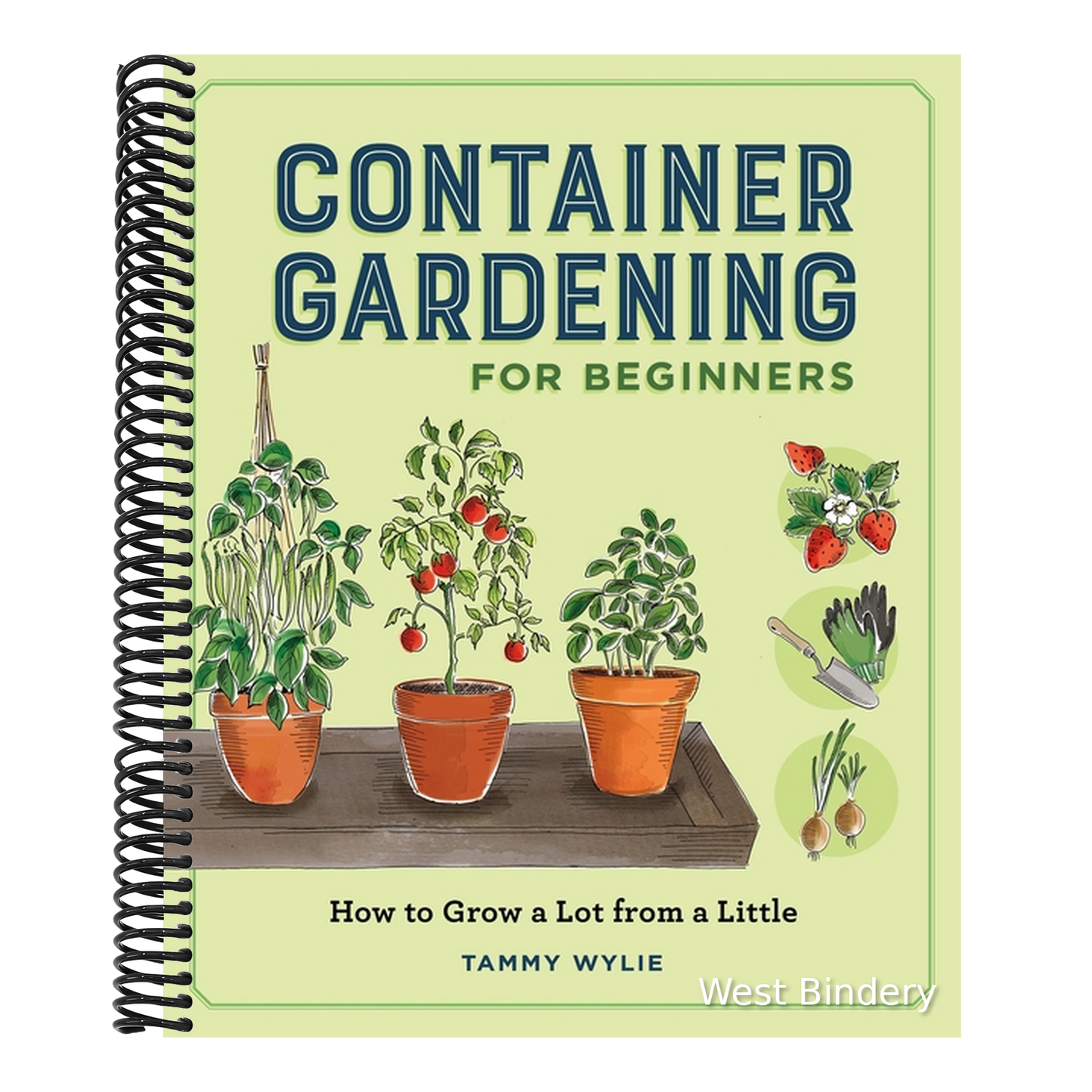 Container Gardening for Beginners: How to Grow a Lot from a Little