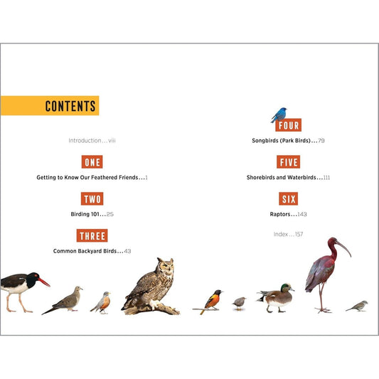 North American Bird Watching for Beginners: Field Notes on 150 Species to Start Your Birding Adventures (Spiral Bound)
