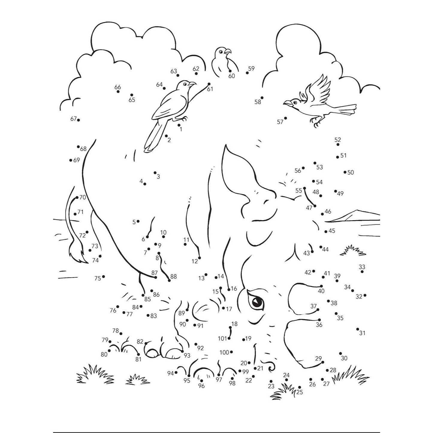 Wild Animals Dot-To-Dot Fun!: Count from 1 to 101