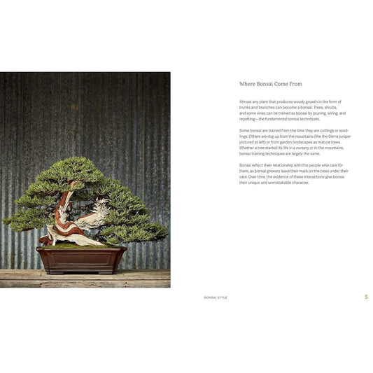 The Little Book of Bonsai: An Easy Guide to Caring for Your Bonsai Tree