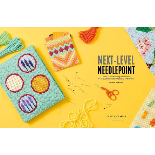 Next-Level Needlepoint: Over 100 Skill-Building Stitches and Techniques for Modern Tapestry Embroidery