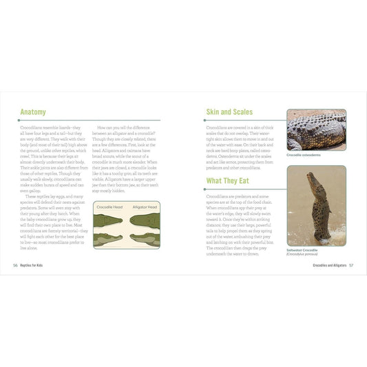 Reptiles for Kids: A Junior Scientist's Guide to Lizards, Amphibians, and Cold-Blooded Creatures