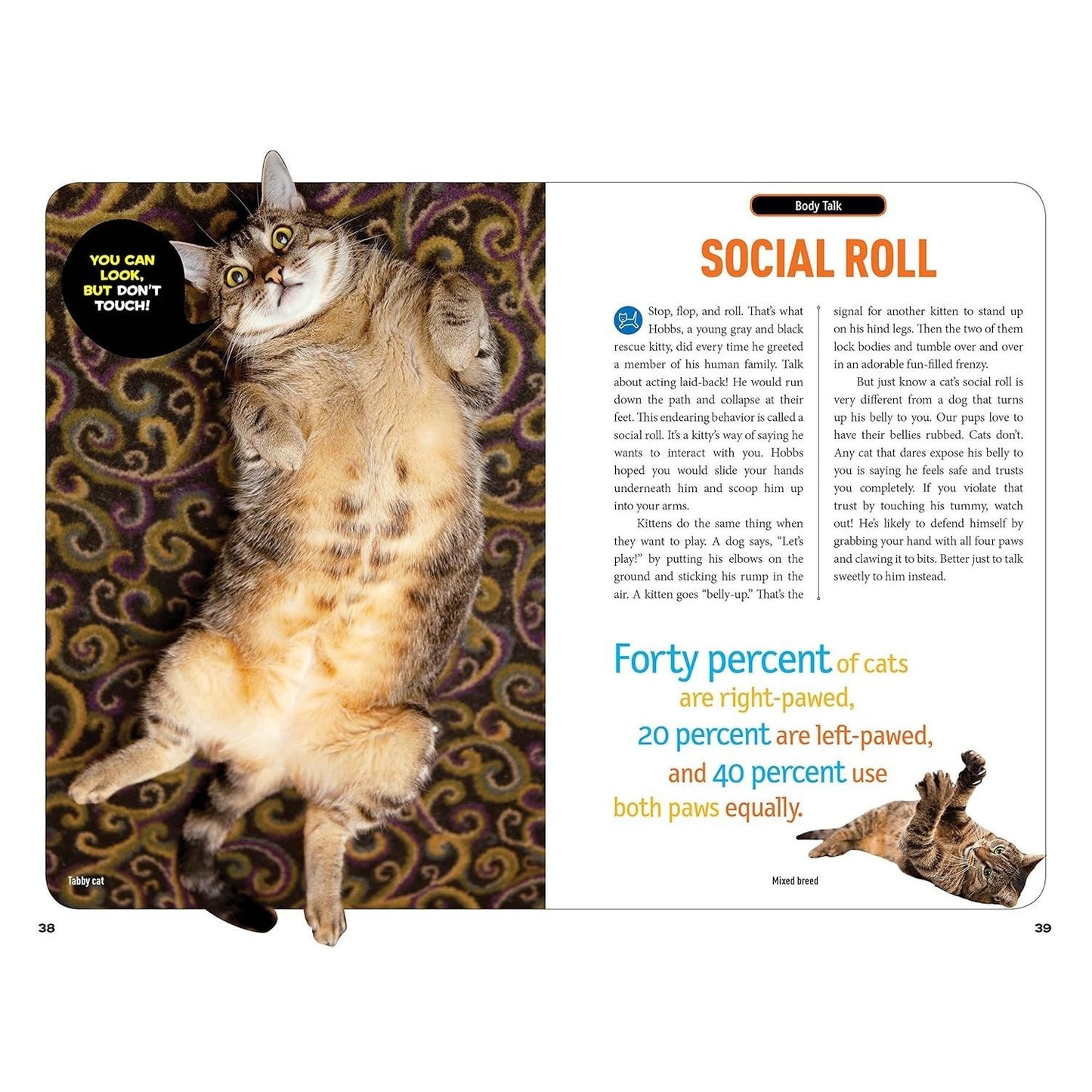 How to Speak Cat: A Guide to Decoding Cat Language (Ngk How to Speak Animal) (Spiral Bound)