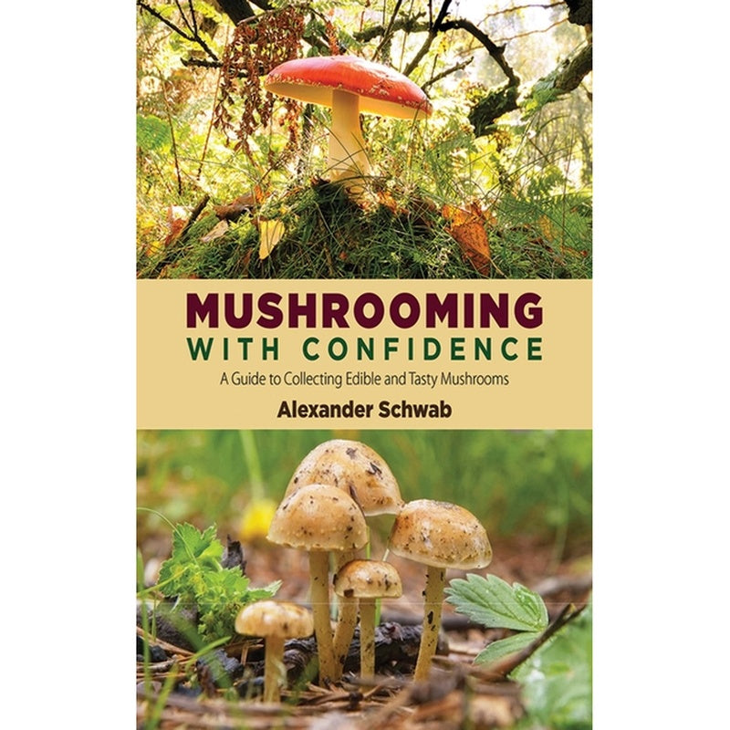 Mushrooming with Confidence: A Guide to Collecting Edible and Tasty Mushrooms