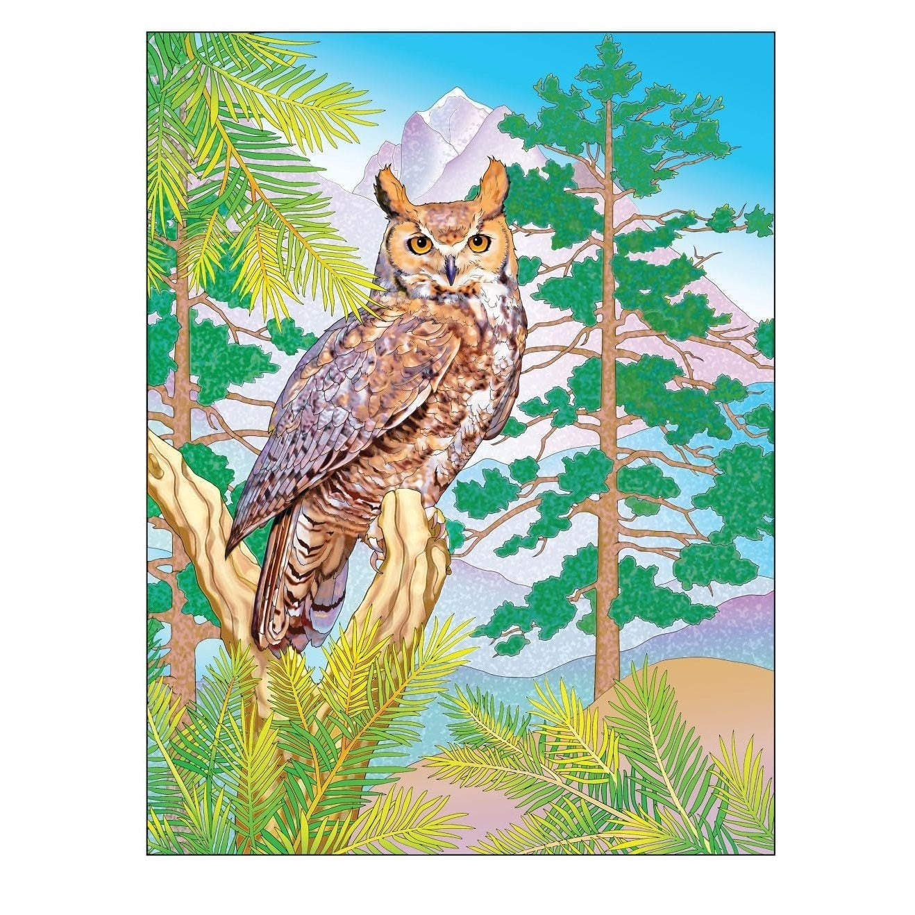 Creative Haven Forest & Woodland Wildlife Coloring Book