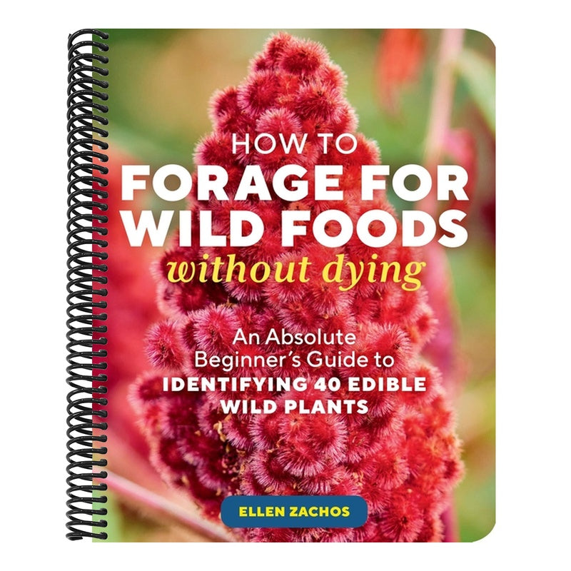 How to Forage for Wild Foods Without Dying: An Absolute Beginner's Guide to Identifying 40 Edible Wild Plants