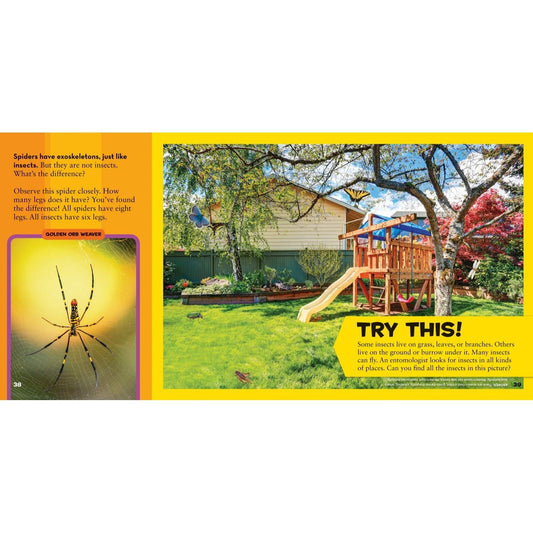 Little Kids First Big Book of Science (National Geographic Little Kids First Big Books) (Spiral Bound)