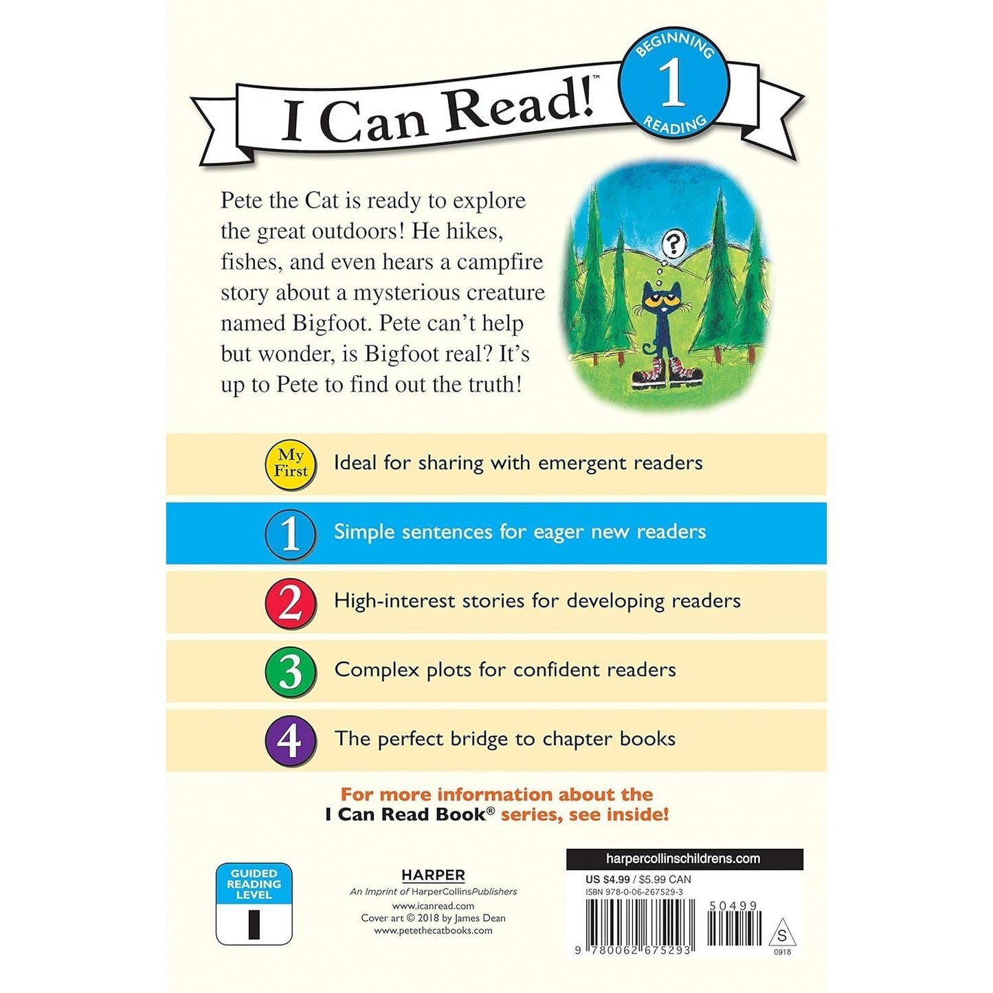 Pete the Cat Goes Camping