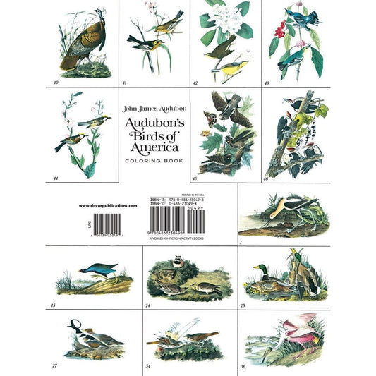 Audubon's Birds of America Coloring Book
