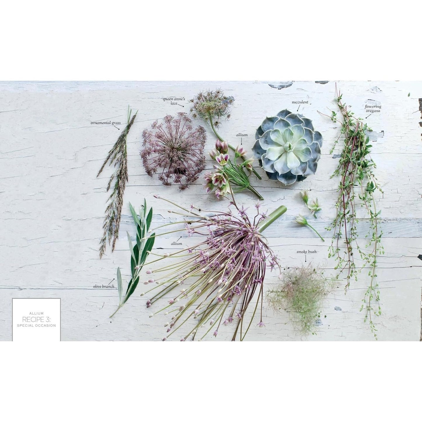 The Flower Recipe Book: 100 Magical, Sculptural, Seasonal Arrangements (Spiral Bound)
