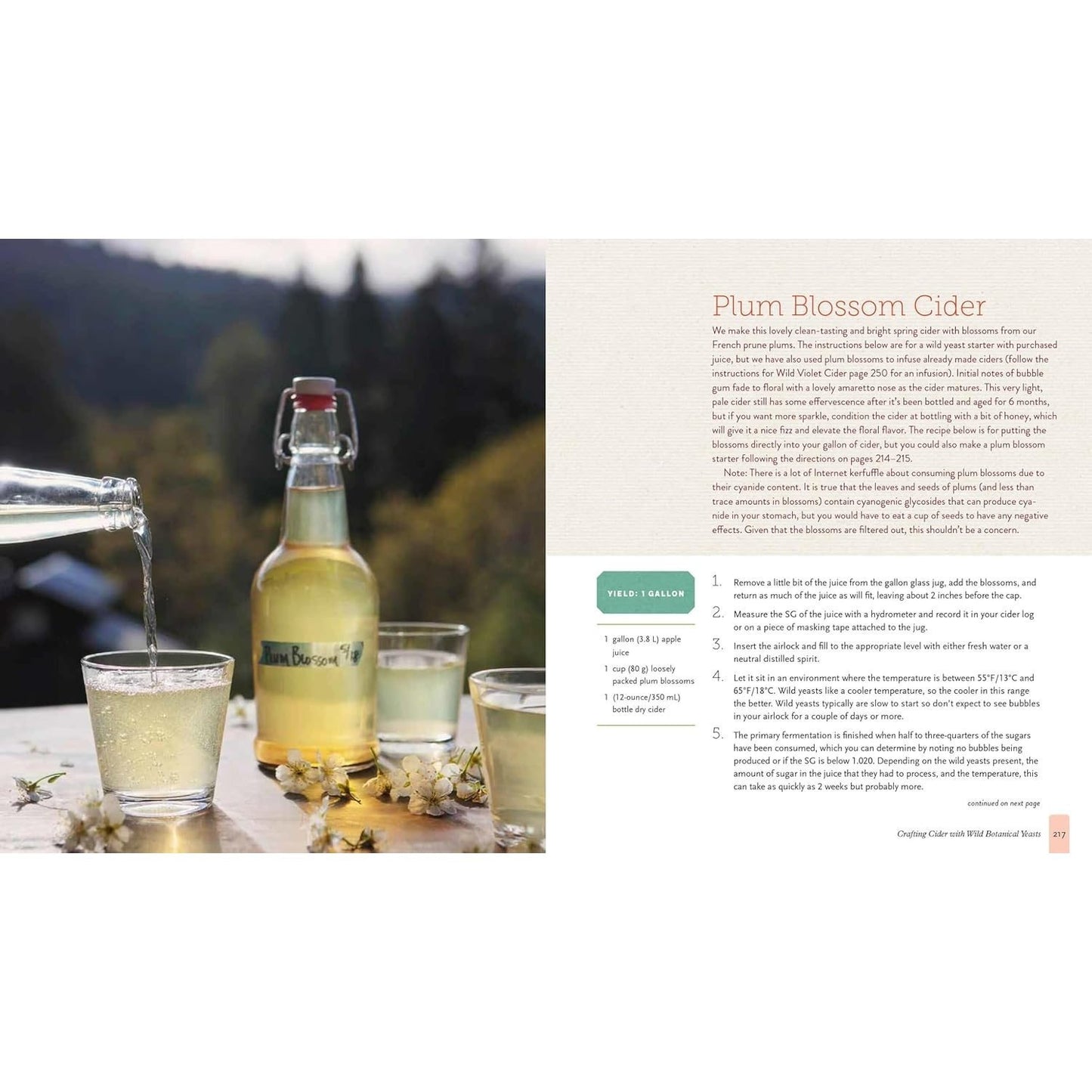 The Big Book of Cidermaking: Expert Techniques for Fermenting and Flavoring Your Favorite Hard Cider