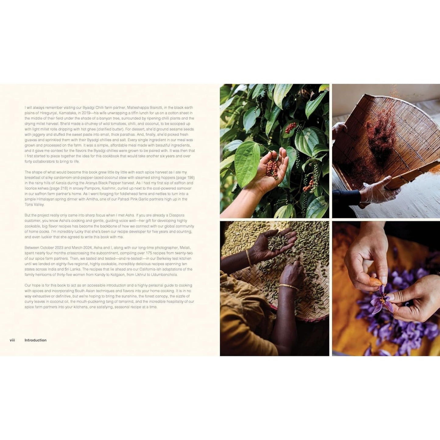 The Diaspora Spice Co. Cookbook: Seasonal Home Cooking from South Asia's Best Spice Farms