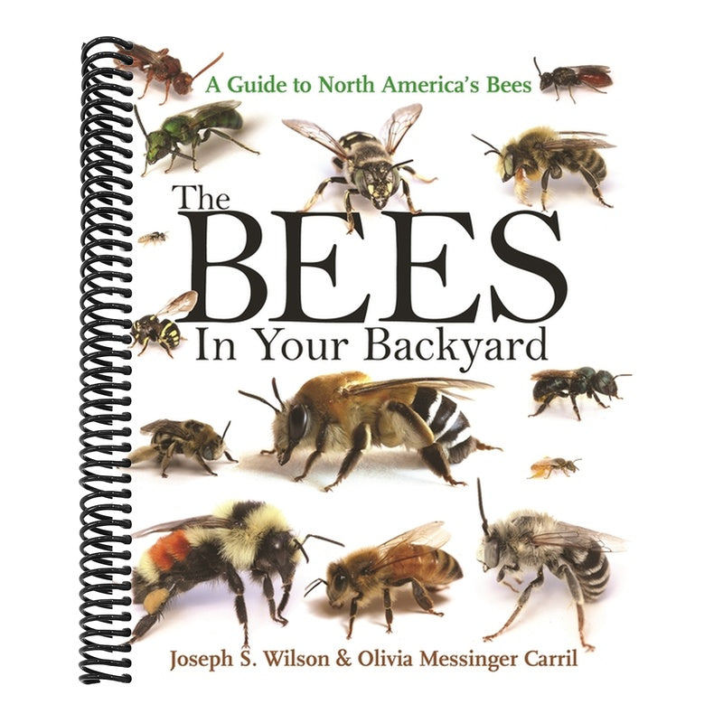 The Bees in Your Backyard: A Guide to North America's Bees