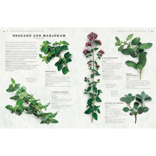 The Cook's Herb Garden: Grow, Harvest, Cook (Spiral Bound)