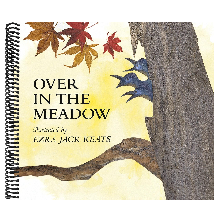 Over in the Meadow: A Counting-Out Rhythm