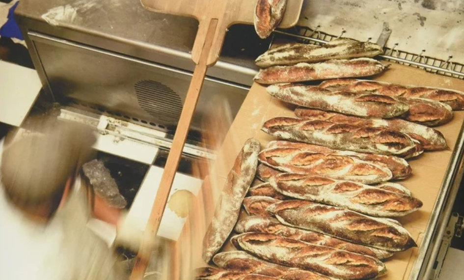 5 Sourdough & Bread Books to Start Your Baking Journey