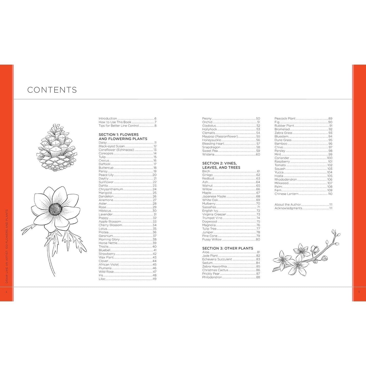 Draw Like an Artist: 100 Flowers and Plants: Step-By-Step Realistic Line Drawing * a Sourcebook for Aspiring Artists and Designers (Draw Like an Artist #2) (Spiral Bound)