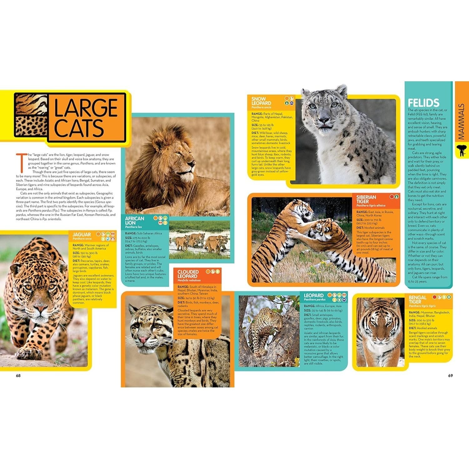 National Geographic Kids Animal Encyclopedia, 2nd Edition: 2,500 Animals with Photos, Maps, and More! (Spiral Bound)