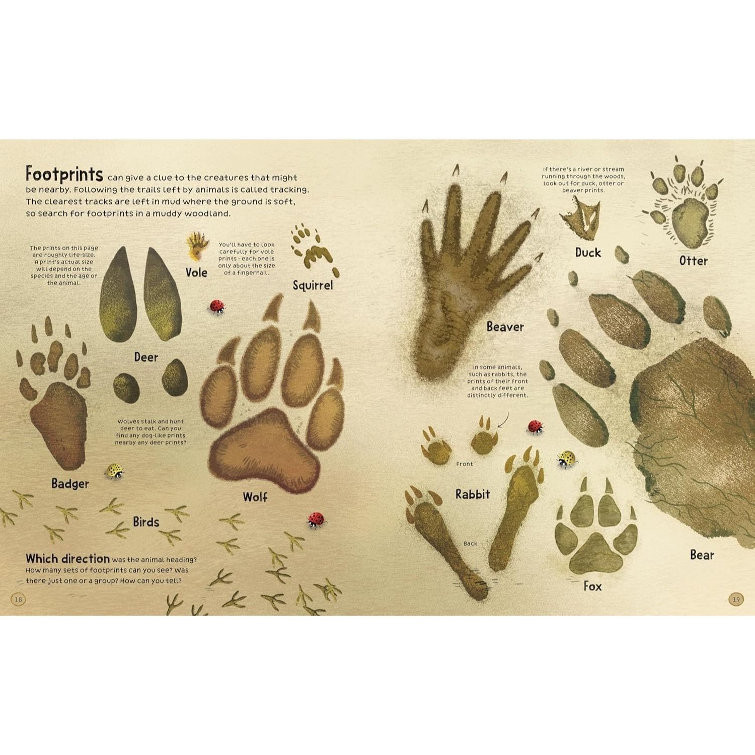 The Woodland Book