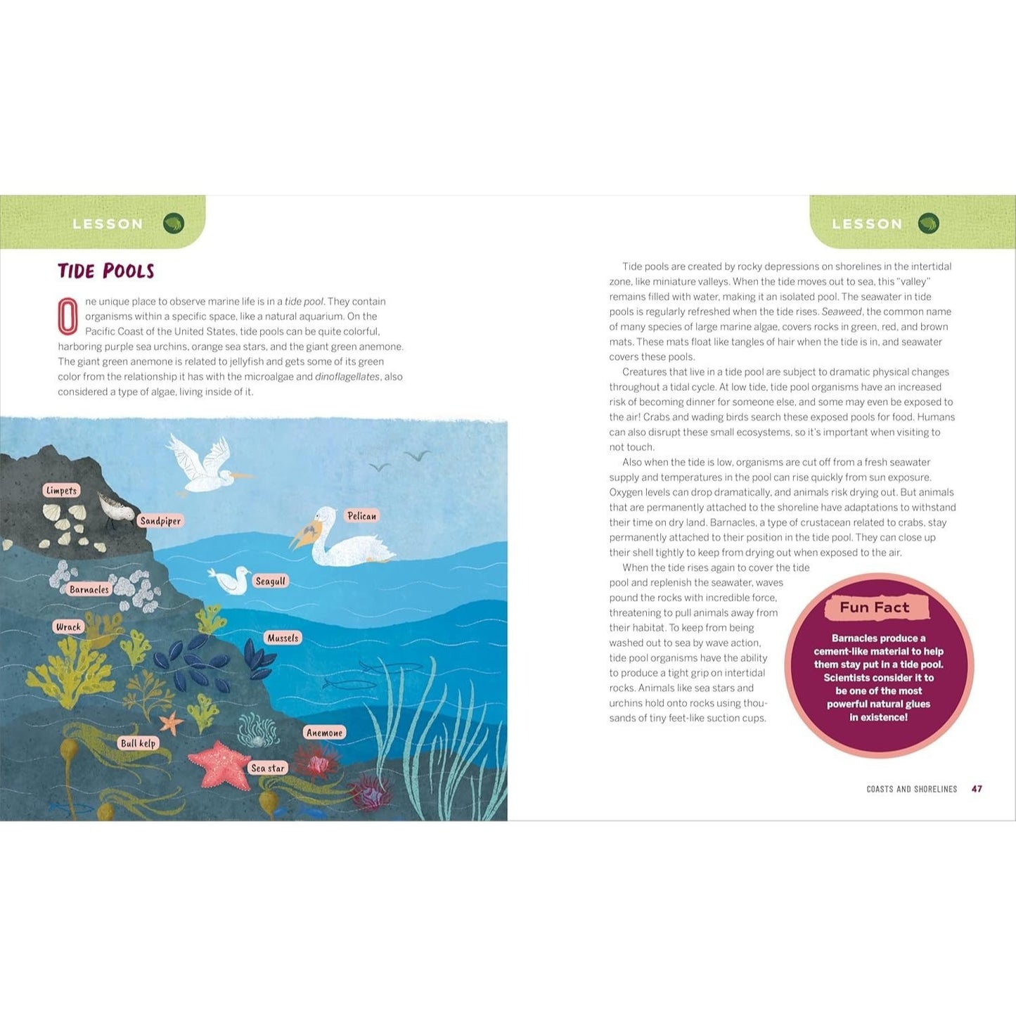 Ocean Activities for Kids: 20 Hands-On Projects to Explore the Sea