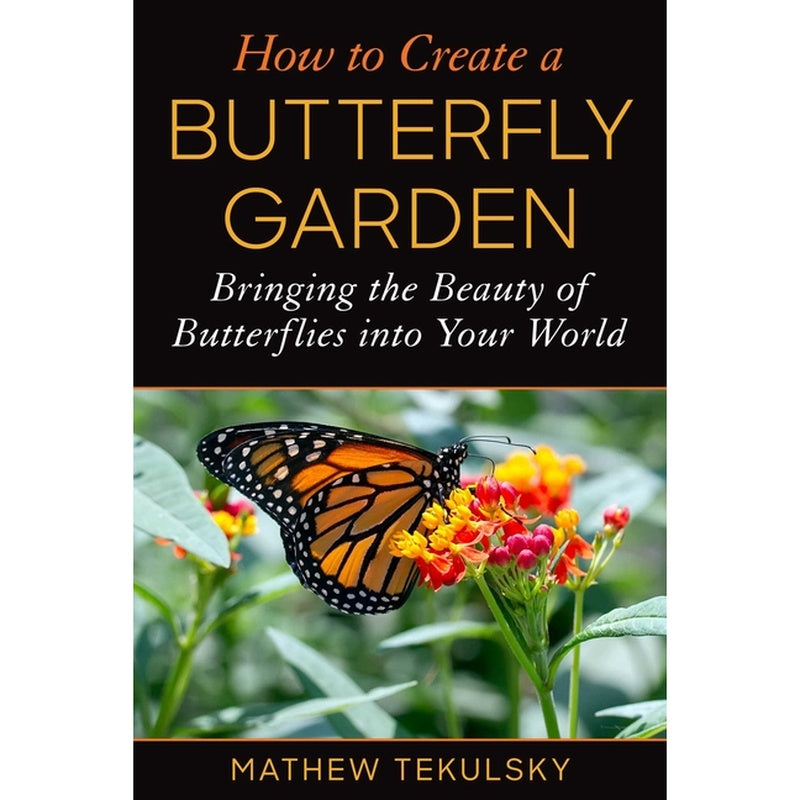 How to Create a Butterfly Garden: Bringing the Beauty of Butterflies Into Your World