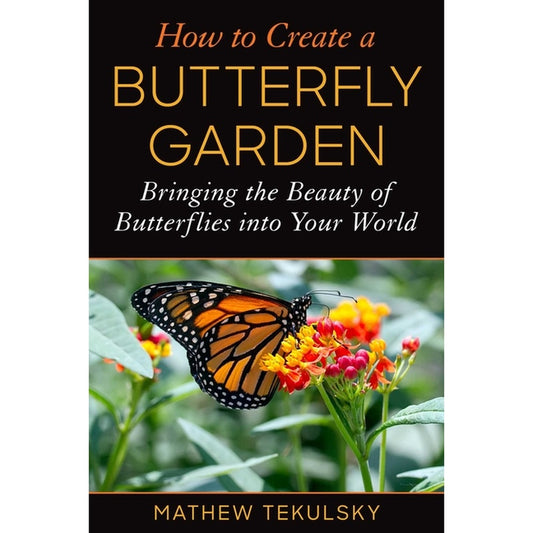 How to Create a Butterfly Garden: Bringing the Beauty of Butterflies Into Your World