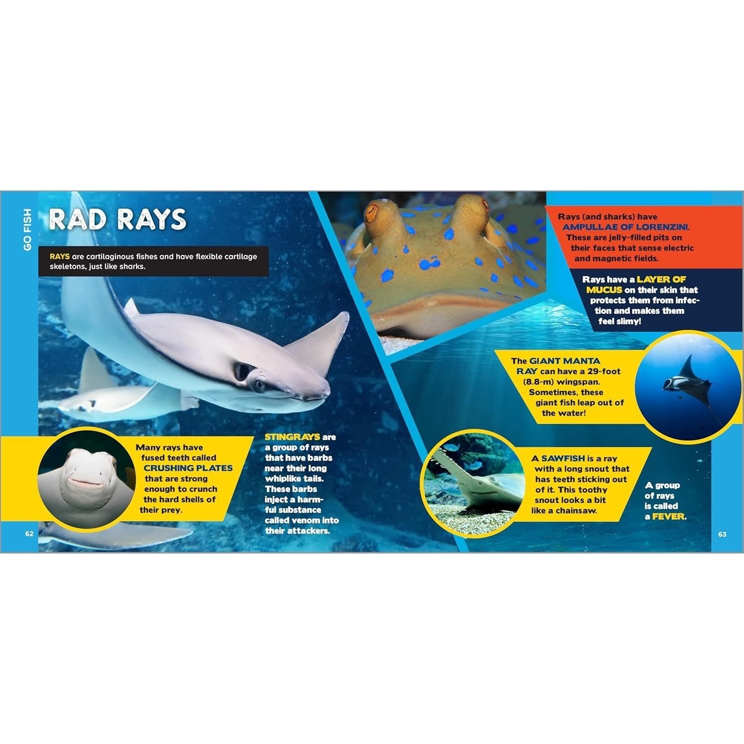 The Fascinating Ocean Book for Kids: 500 Incredible Facts!