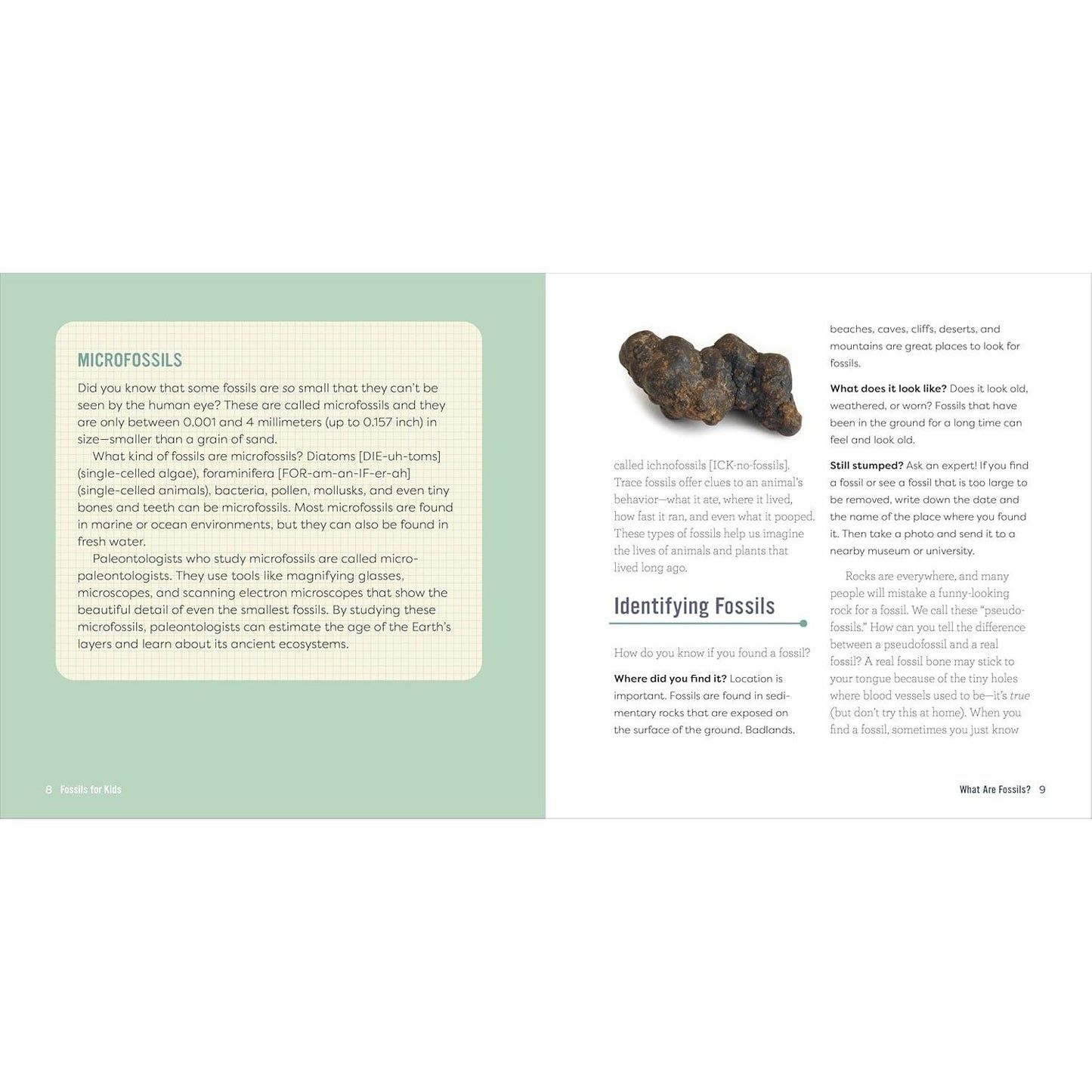 Fossils for Kids: A Junior Scientist's Guide to Dinosaur Bones, Ancient Animals, and Prehistoric Life on Earth