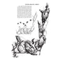 The Art of Animal Drawing: Construction, Action Analysis, Caricature (Revised)