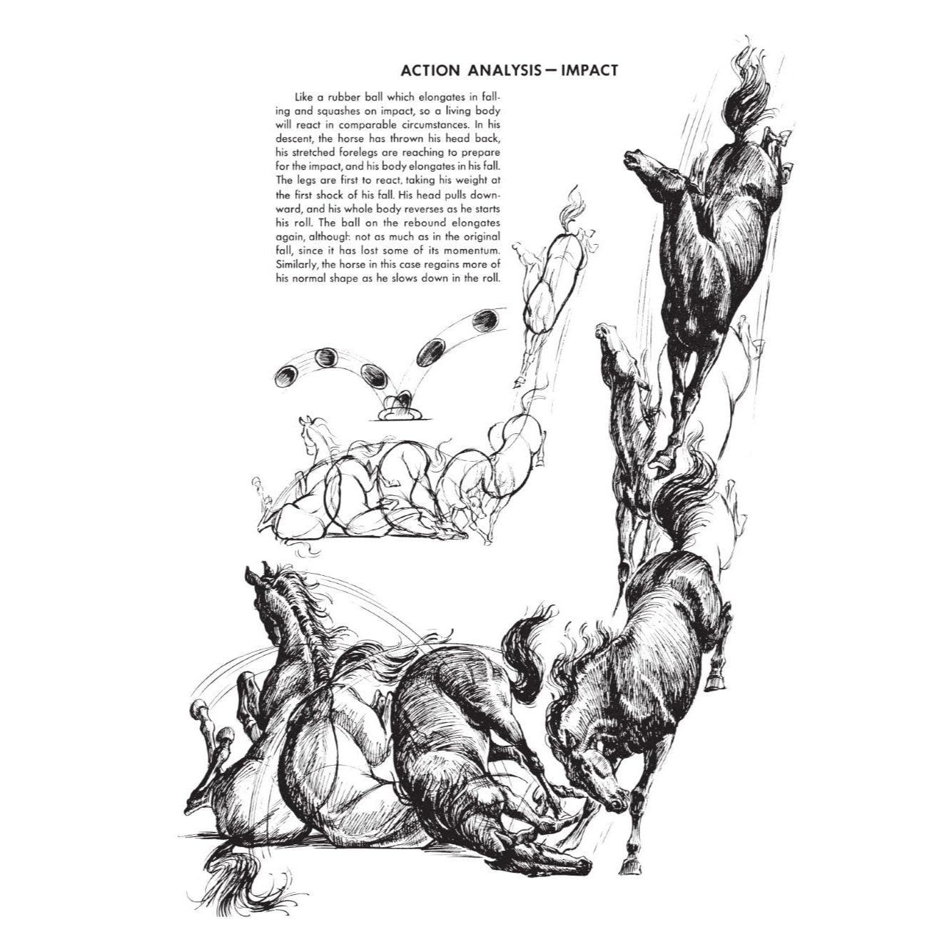The Art of Animal Drawing: Construction, Action Analysis, Caricature (Revised)