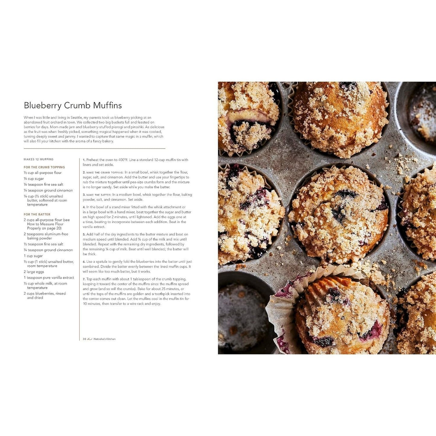 Natasha's Kitchen: 100+ Easy Family-Favorite Recipes You'll Make Again and Again: A Cookbook (Spiral Bound)