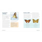 Butterflies for Kids: A Junior Scientist's Guide to the Butterfly Life Cycle and Beautiful Species to Discover