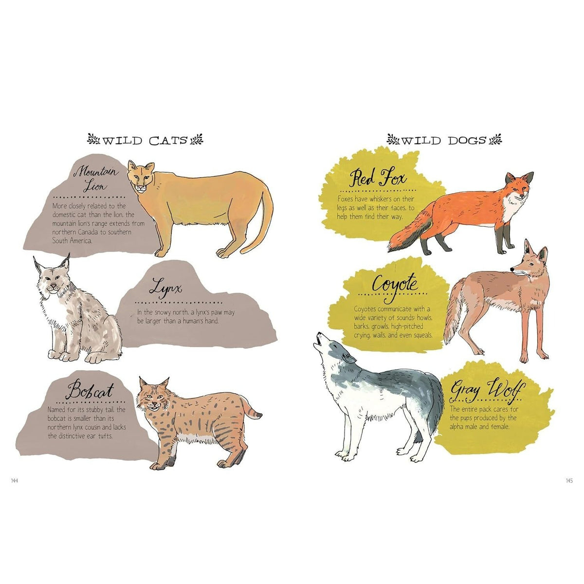 Nature Anatomy: The Curious Parts and Pieces of the Natural World
