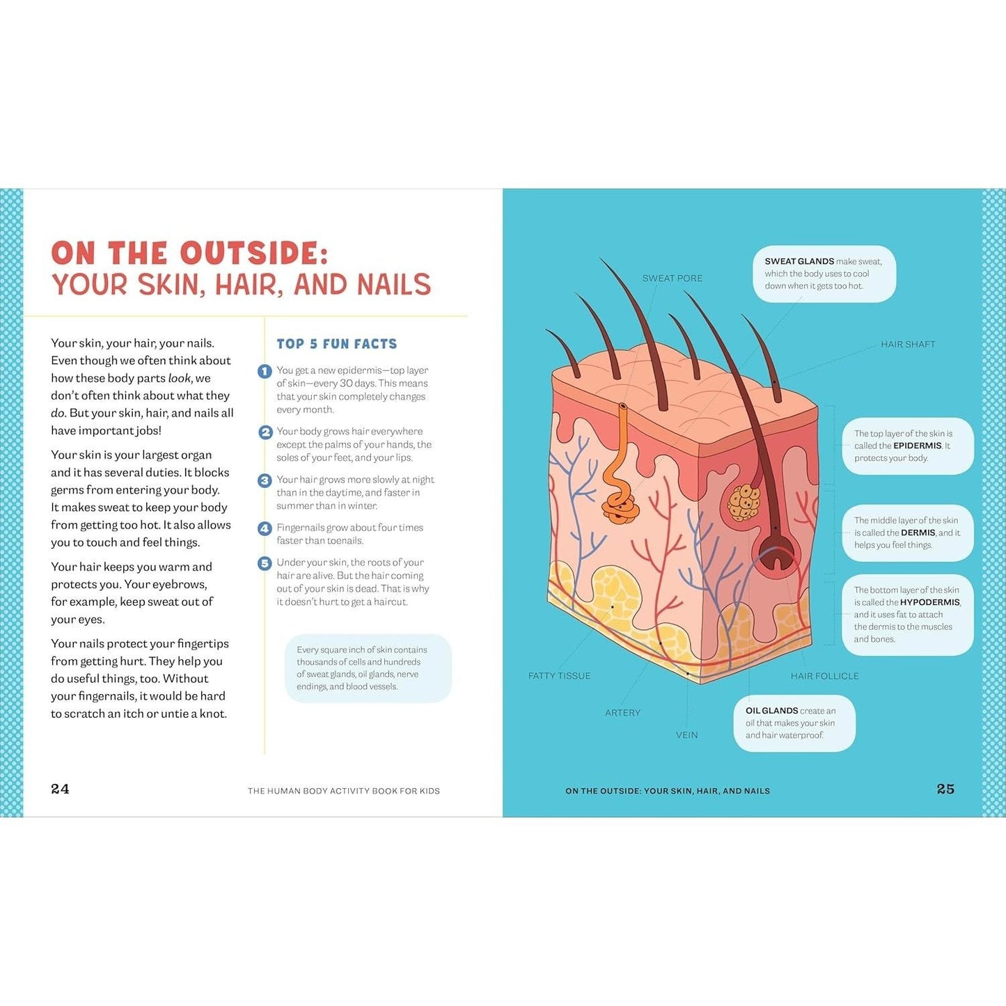 Human Body Activity Book for Kids: Hands-On Fun for Grades K-3 (Spiral Bound)