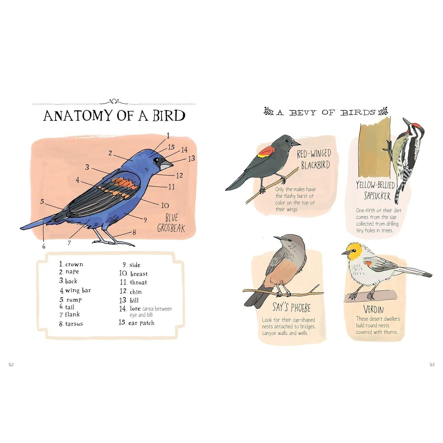 Nature Anatomy: The Curious Parts and Pieces of the Natural World