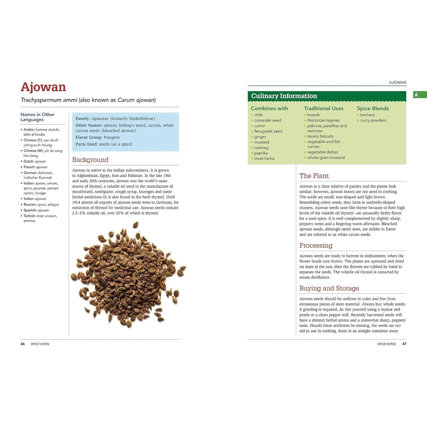 The Spice and Herb Bible