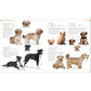 The Dog Encyclopedia: The Definitive Visual Guide (DK Pet Encyclopedias) (2ND ed.) (Spiral Bound)