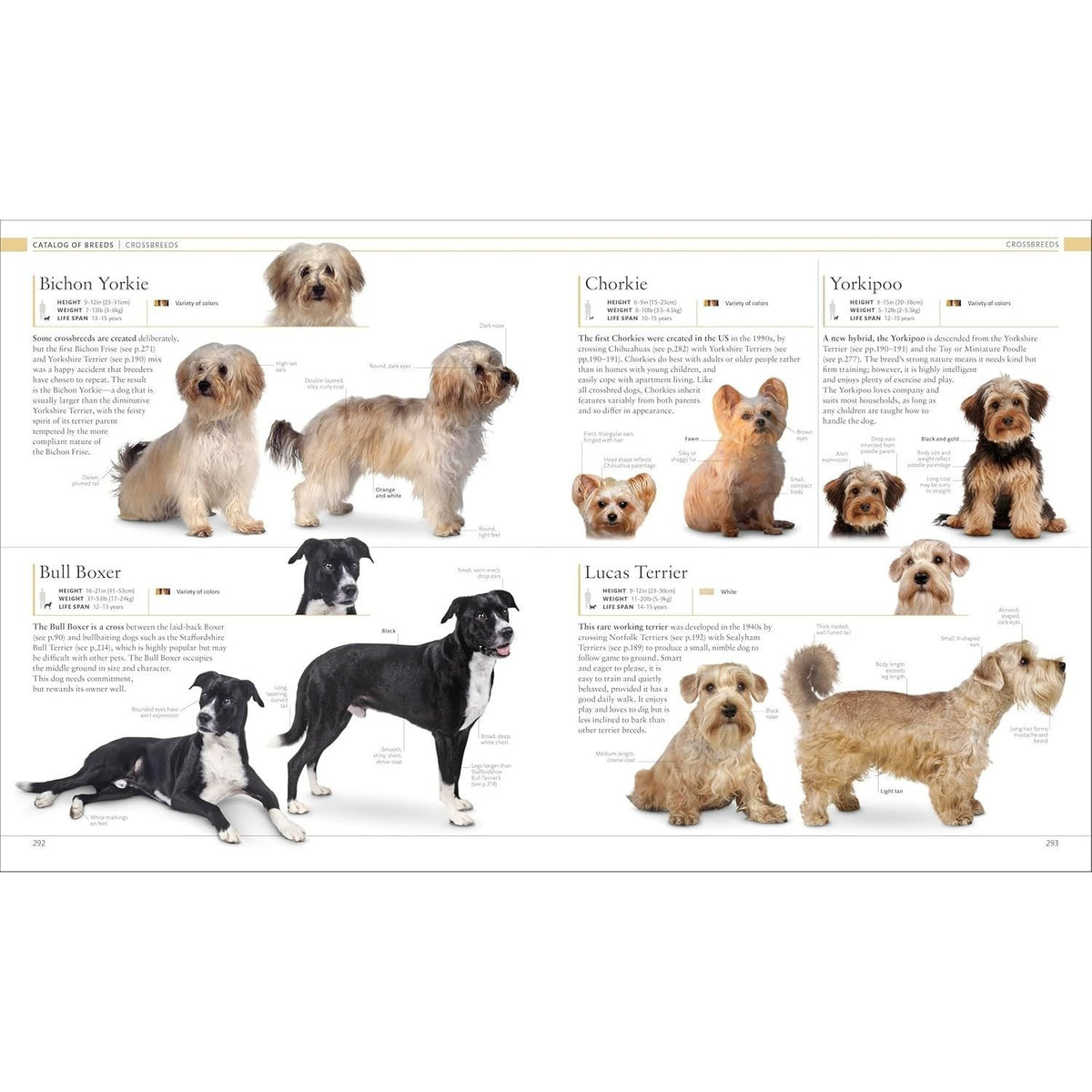 The Dog Encyclopedia: The Definitive Visual Guide (DK Pet Encyclopedias) (2ND ed.) (Spiral Bound)