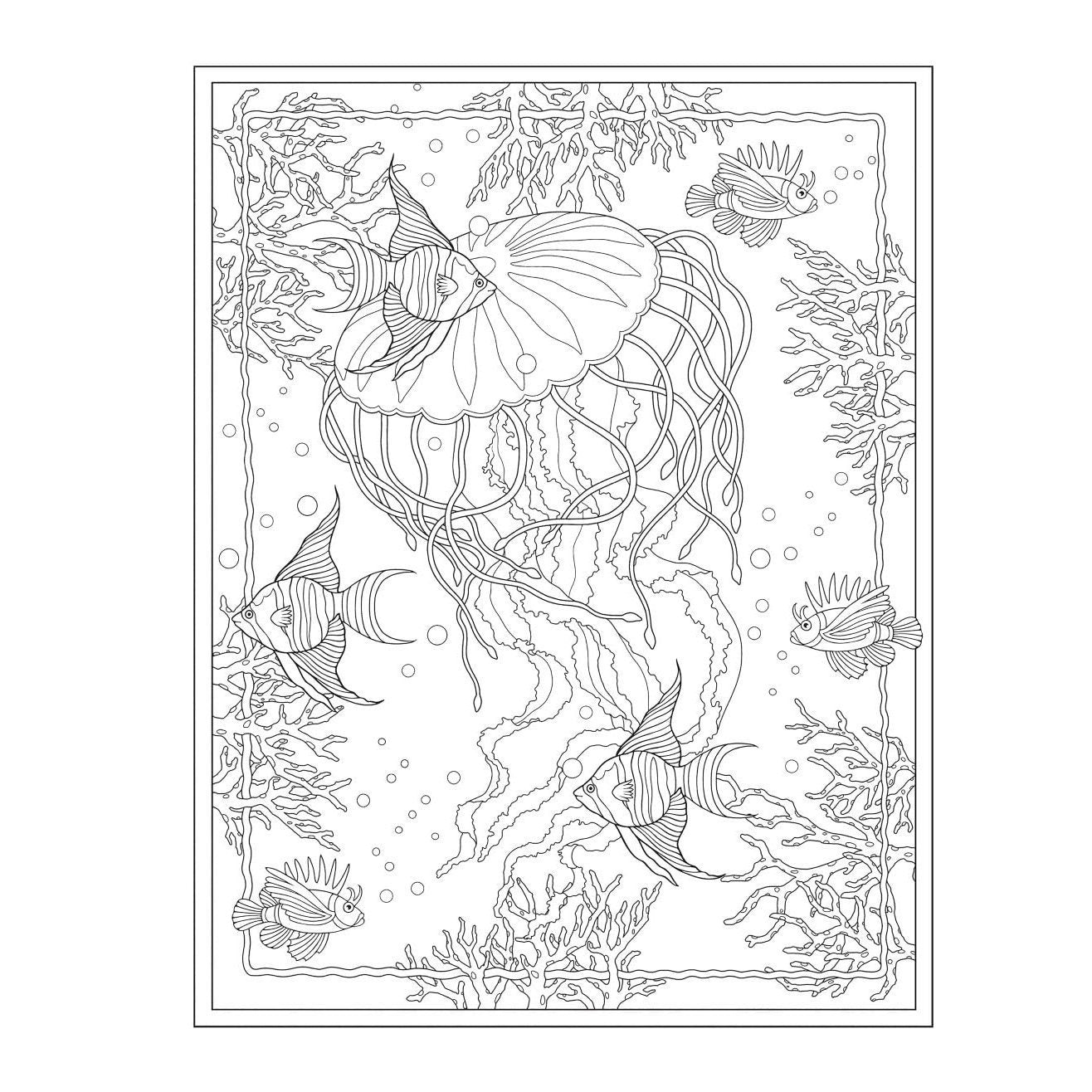 Creative Haven Enchanting Oceans Coloring Book