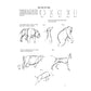 The Art of Animal Drawing: Construction, Action Analysis, Caricature (Revised)