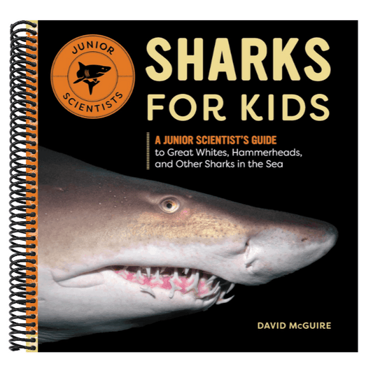 Sharks for Kids: A Junior Scientist's Guide to Great Whites, Hammerheads, and Other Sharks in the Sea