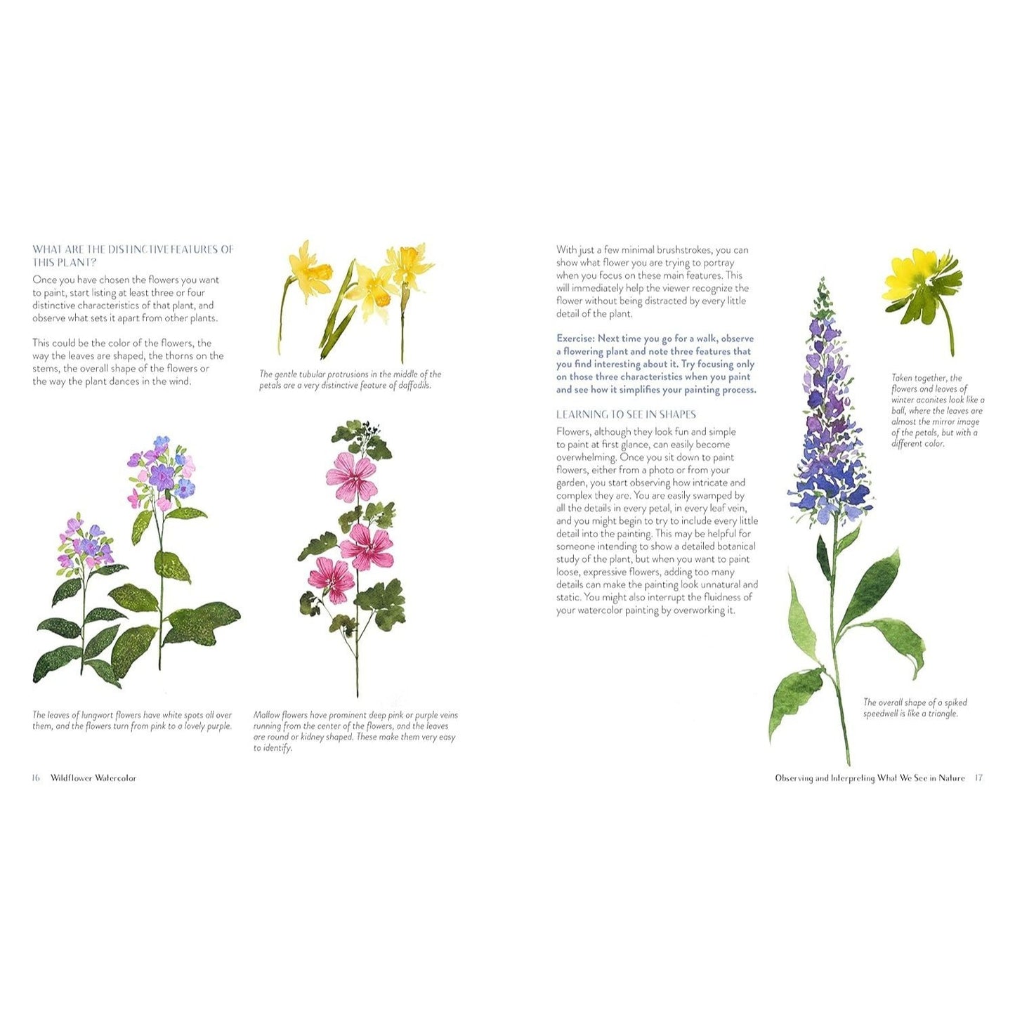 Wildflower Watercolor: The Beginner's Guide to Painting Beautiful Florals