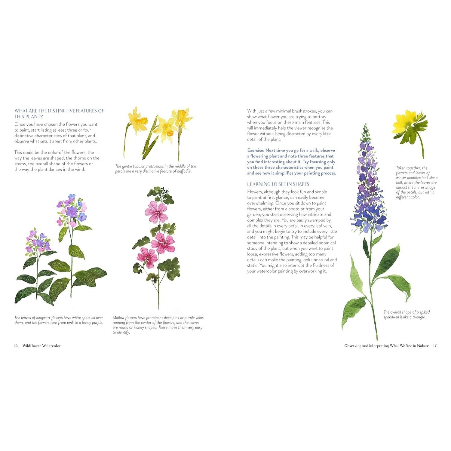 Wildflower Watercolor: The Beginner's Guide to Painting Beautiful Florals