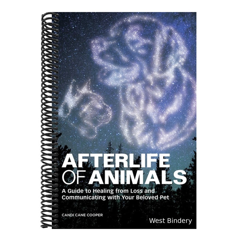 Afterlife of Animals: A Guide to Healing from Loss and Communicating with Your Beloved Pet