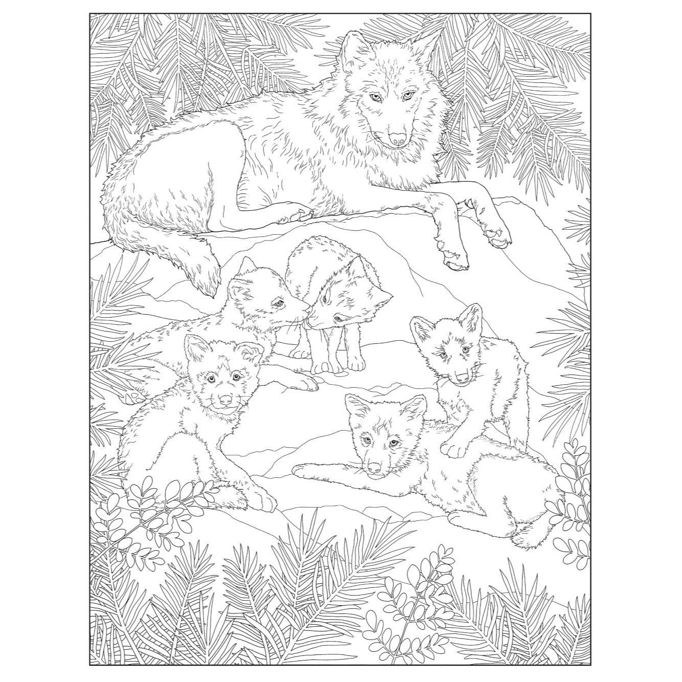 Creative Haven Lovable Baby Animals Coloring Book